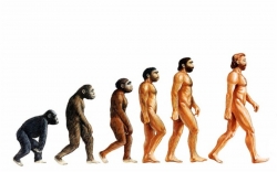 evolution